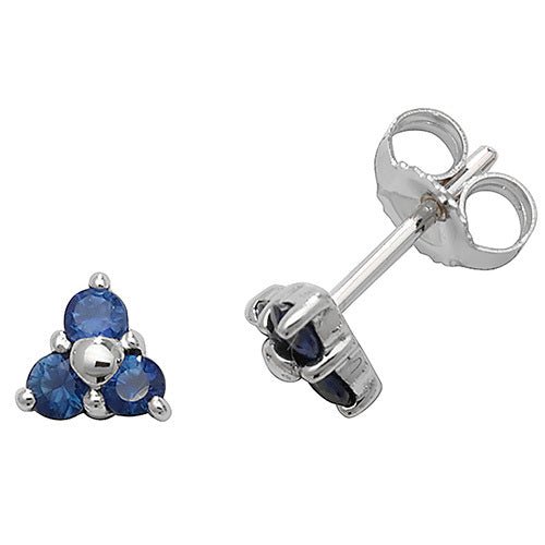 9ct White Gold Sapphire Rubover Studs - FJewellery