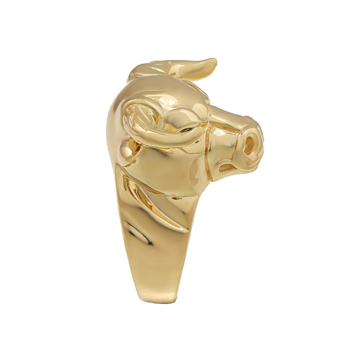 9ct Yellow Gold Bull ring HPR0109 - FJewellery