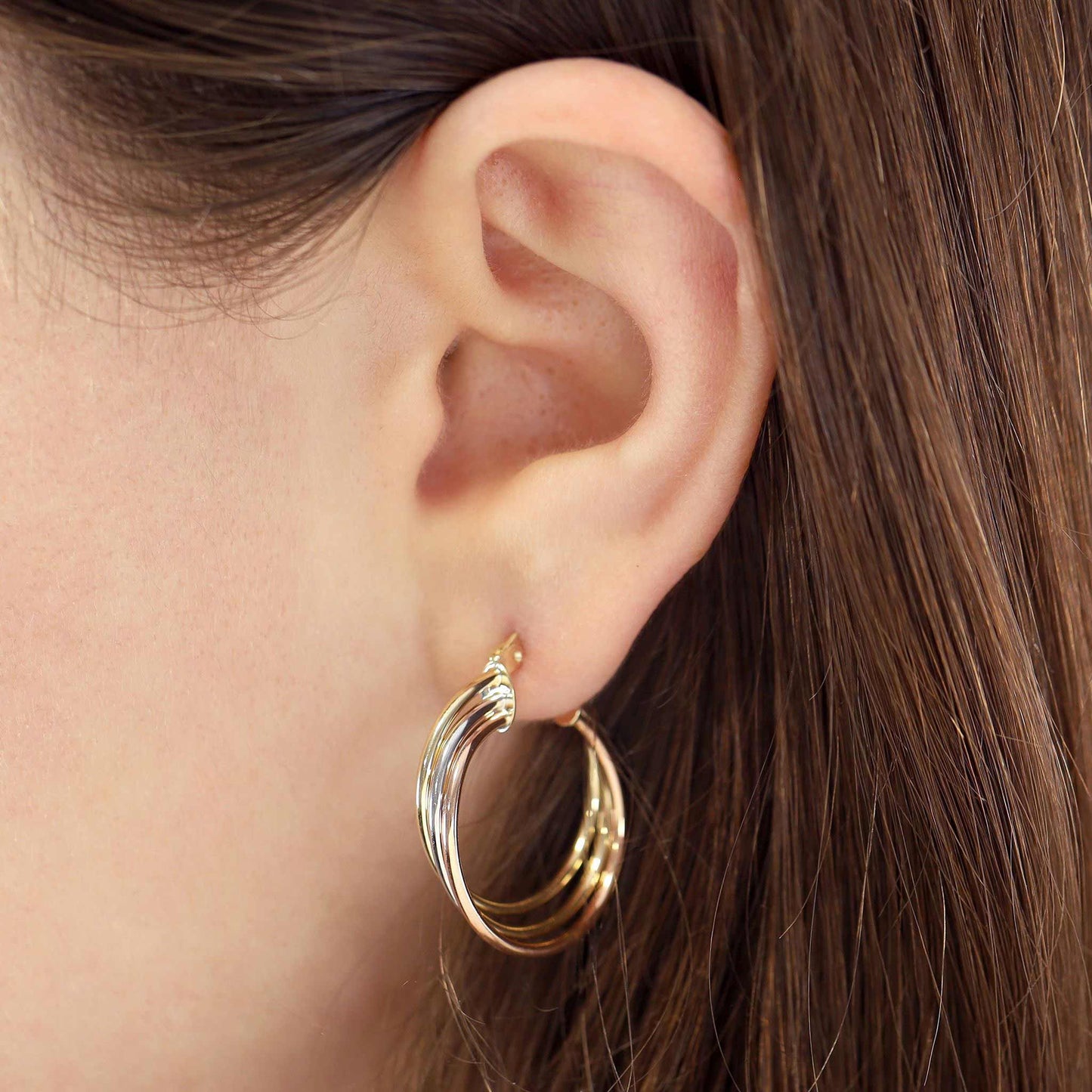 9ct Gold Tri Colour Circle Detail Earrings