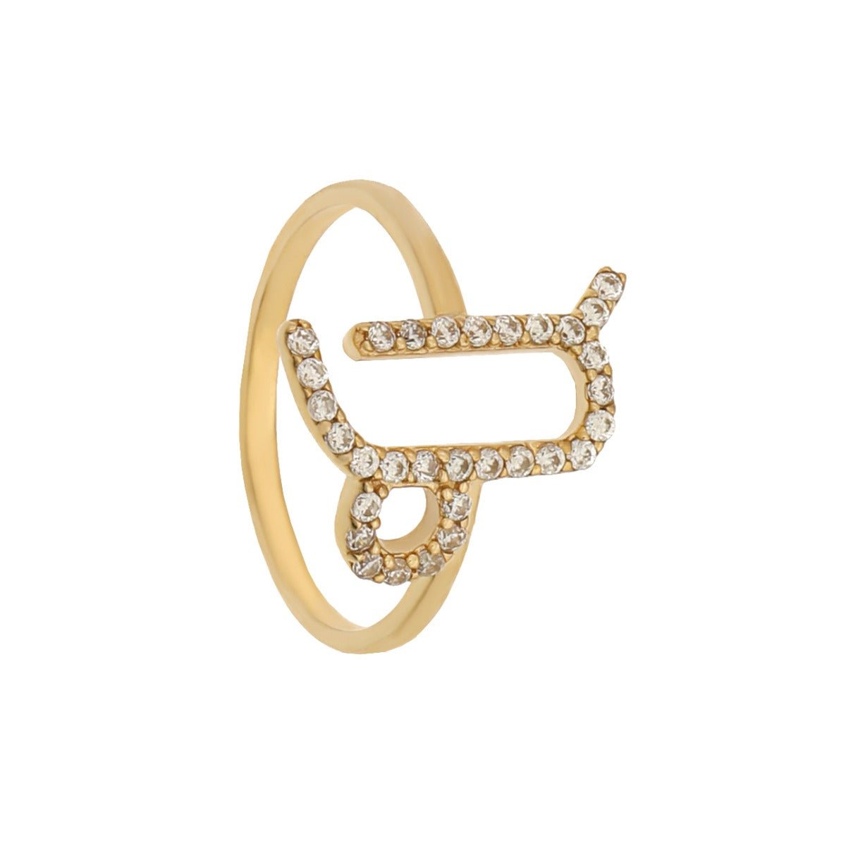 Zodiac ring capricorn 60 photos - Youhoroscope.com